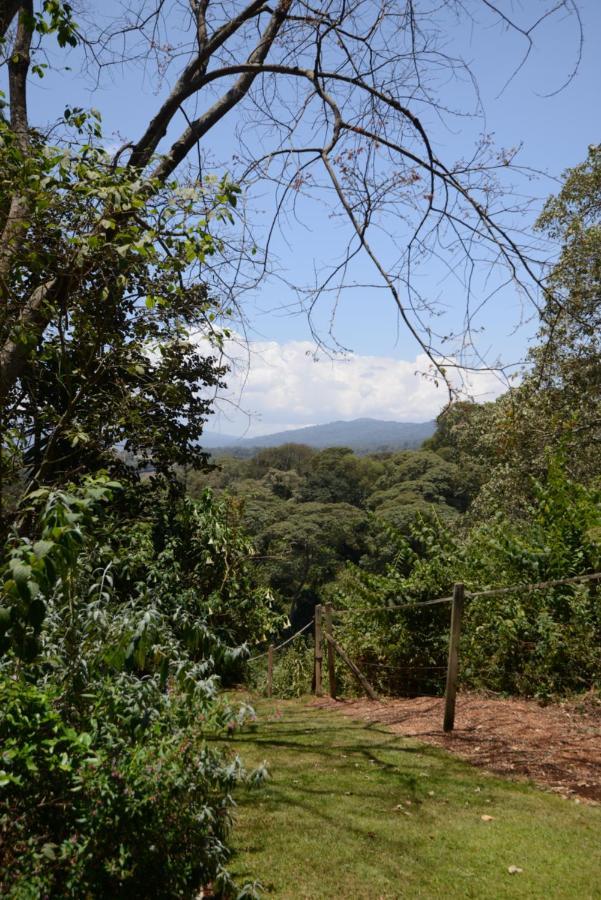 ホテル The Manor At Ngorongoro アルーシャ エクステリア 写真